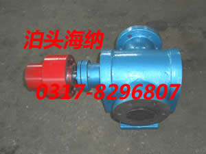 (2CG gear type high temperature oil pump)
