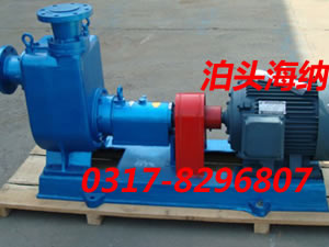 Horizontal oil transfer pumps