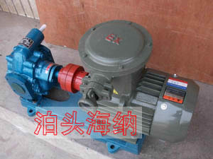 KCB200齿轮油泵,KCB-200齿轮泵