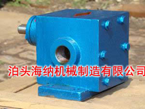 Ignition gear oil pump