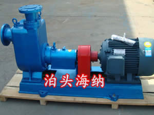 CYZ self-priming oil pump (100CYZ-40)