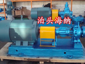 RY100-65-200 high temperature hot oil pump