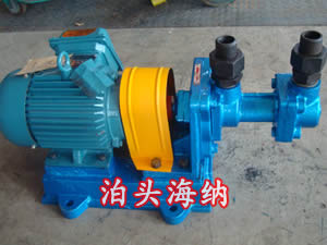 螺杆式高压柴油泵